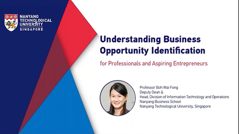 Opportunity Prog - for Professionals and Aspiring Entrepreneurs