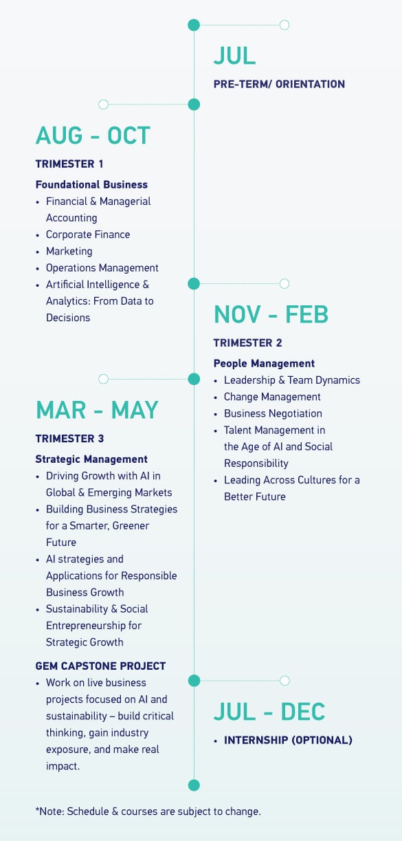 MiM Programme Structure
