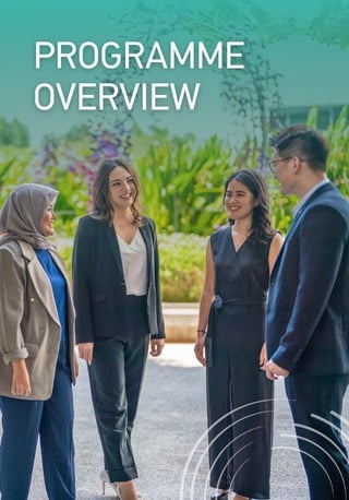 Master in Management - Programme Overview Mobile Banner