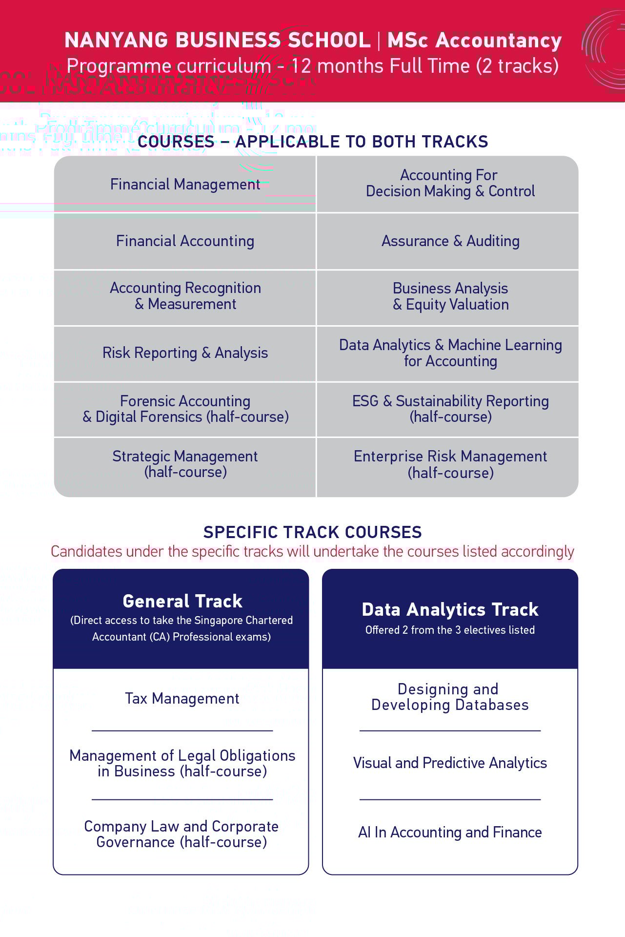 MSc Accountancy Programme Curriculum