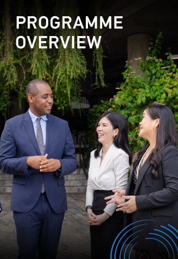 Nanyang Fellows MBA - Programme Overview Mobile Banner