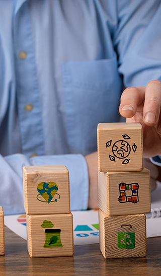 Sustainability courses for the green economy