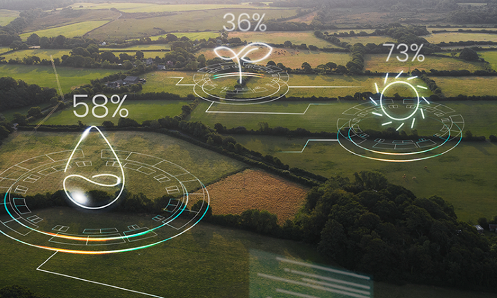 Certificate Programme in Carbon Credit Quality and Due Diligence