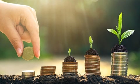 Certificate Programme in Sustainable Finance