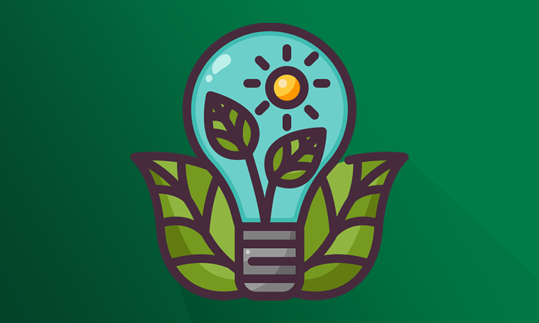 Sustainability Capstone