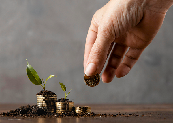 green plants growing from the coins, symbolising sustainable finance investments and carbon market value creation