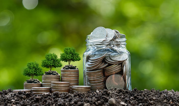 Carbon Market and Pricing Fundamentals