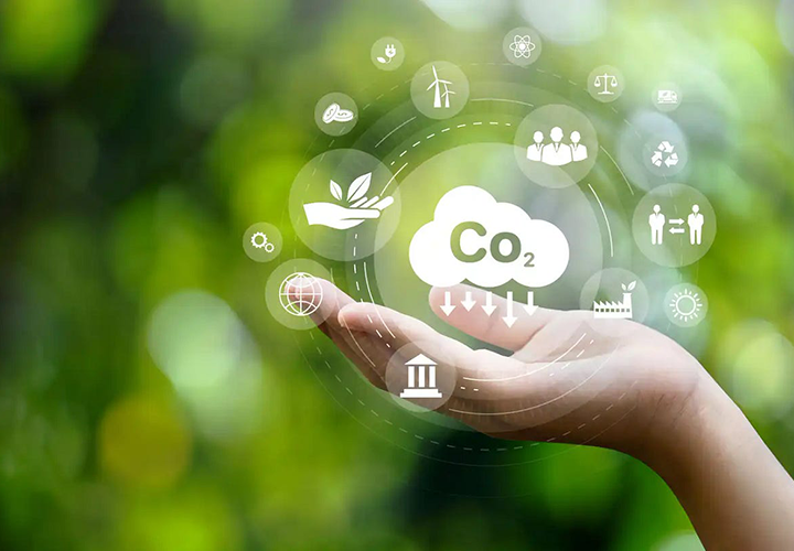 Executive Cert in Carbon Markets