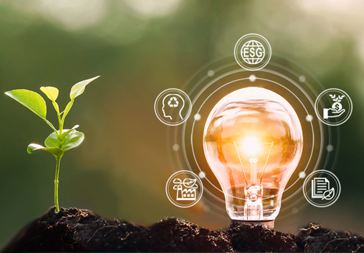 Executive Certificate in Corporate and Environmental Sustainability