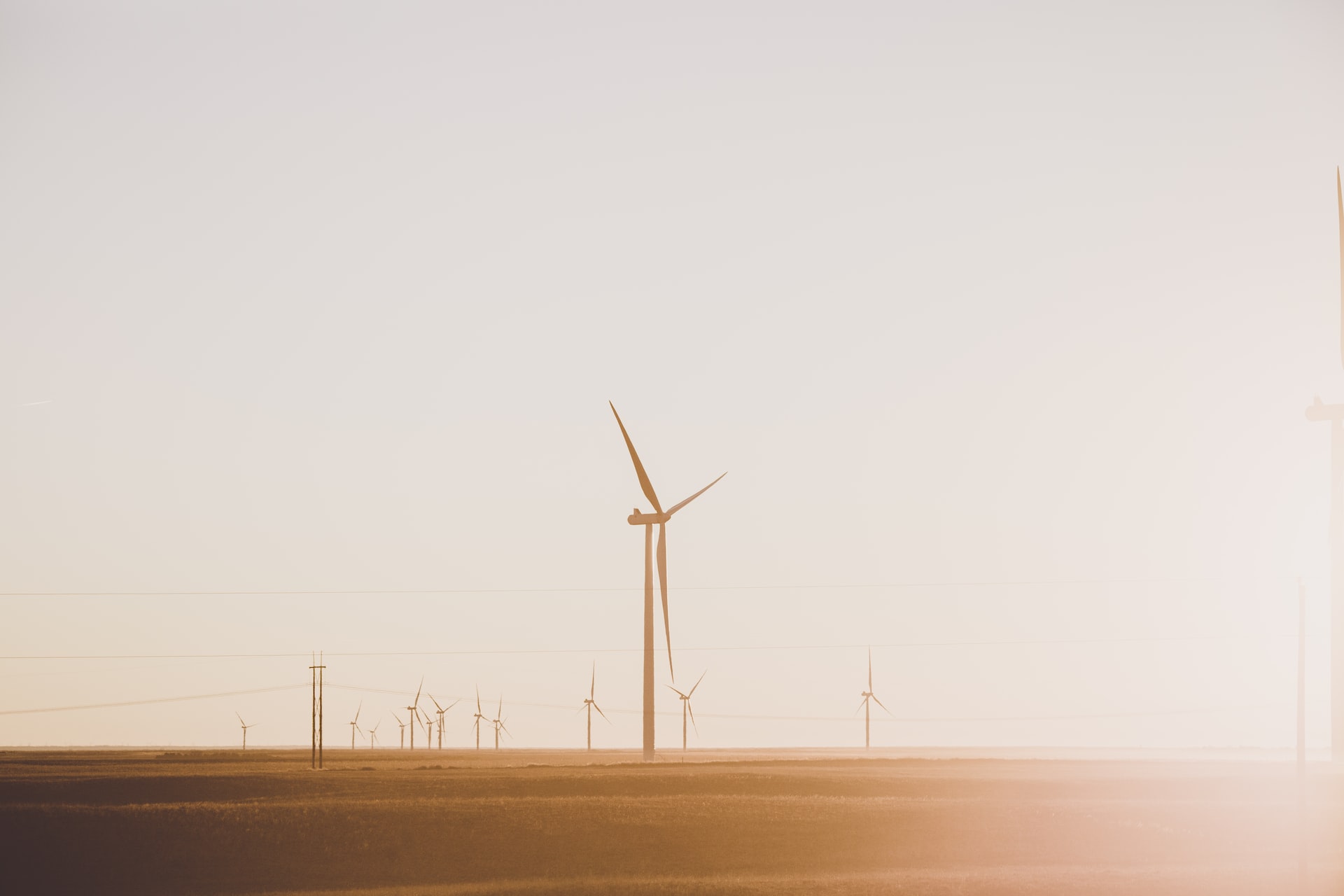 Wind turbines at a field