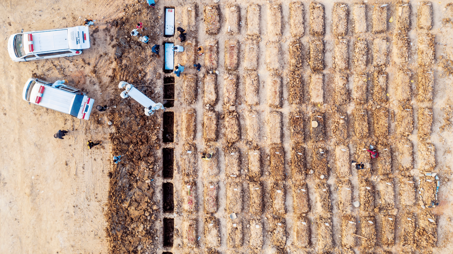 Disposal of bodies at a cemetery