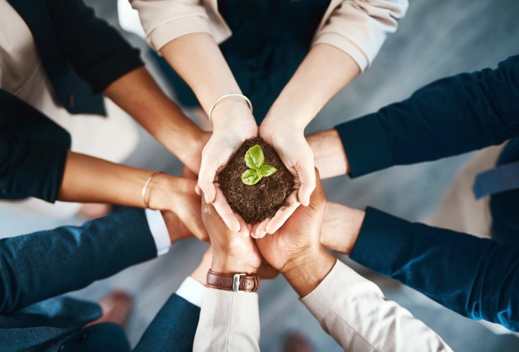Hands carrying a plant rooted in soil