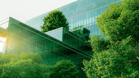 Building with glass windows surrounded by trees
