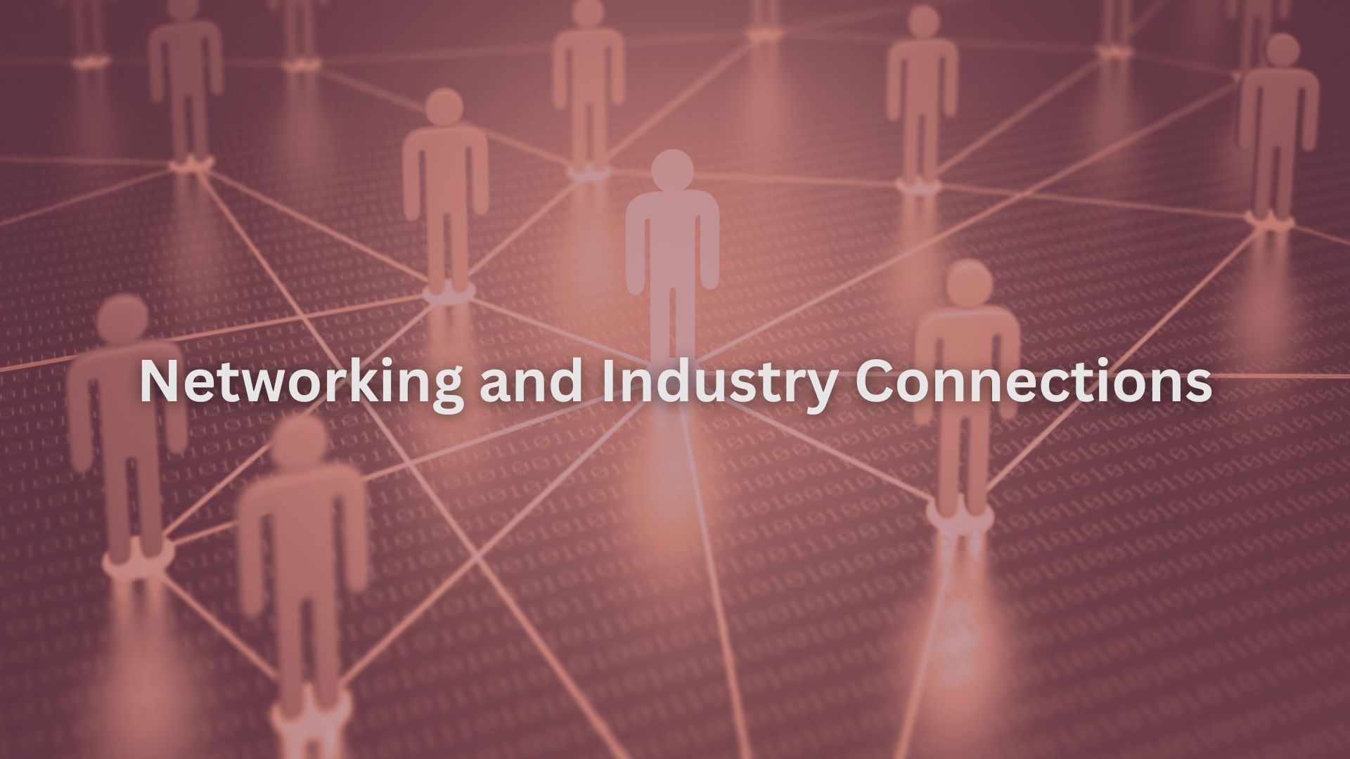 Networking and Industry Connections