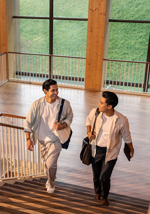 Programme Structure Mobile Banner