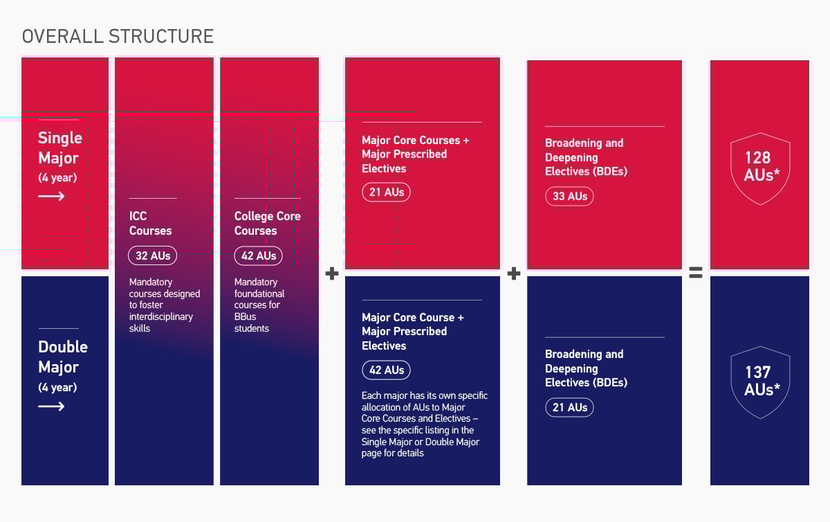 BBus Overall Programme Structure
