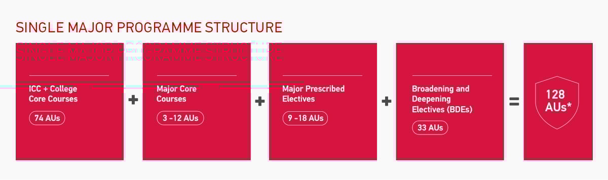 BBus Single Major - Programme Structure