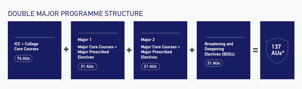BBus - Double Major Programme Structure