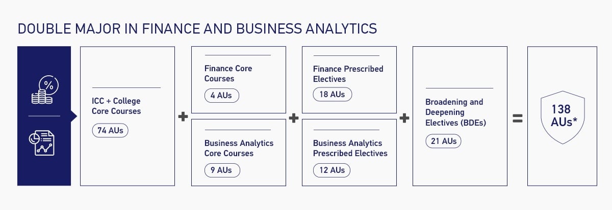 Double Major in Finance and Business Analytics Overview