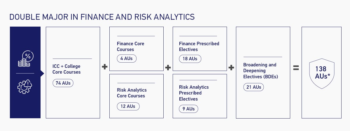 Double Major in Finance and Risk Analytics Overview