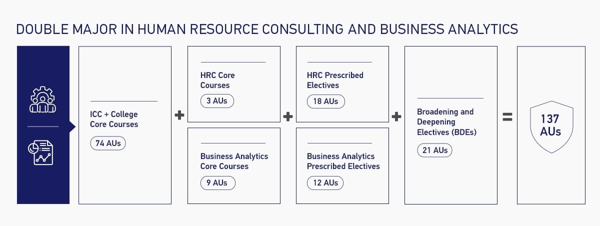 Double Major in Human Resource Consulting and Business Analytics Overview