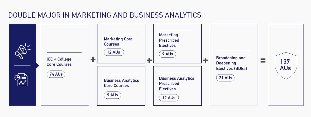 Double Major in Marketing and Business Analytics Overview