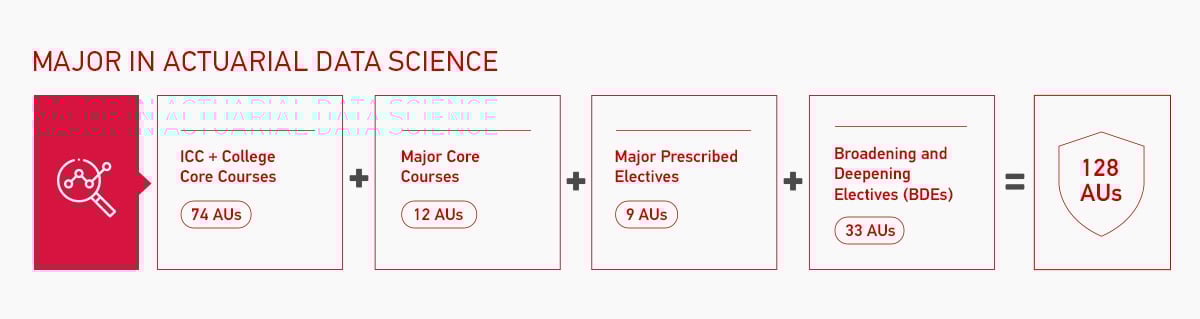 Major in Actuarial Data Science Overview