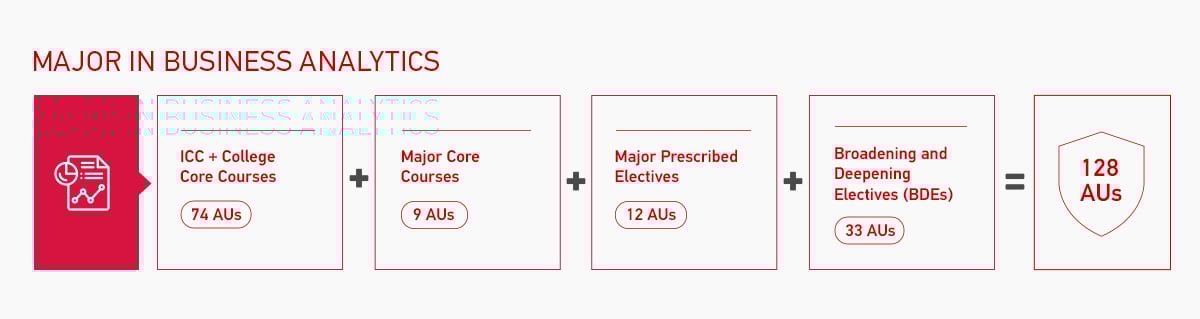 Major in Business Analytics Overview