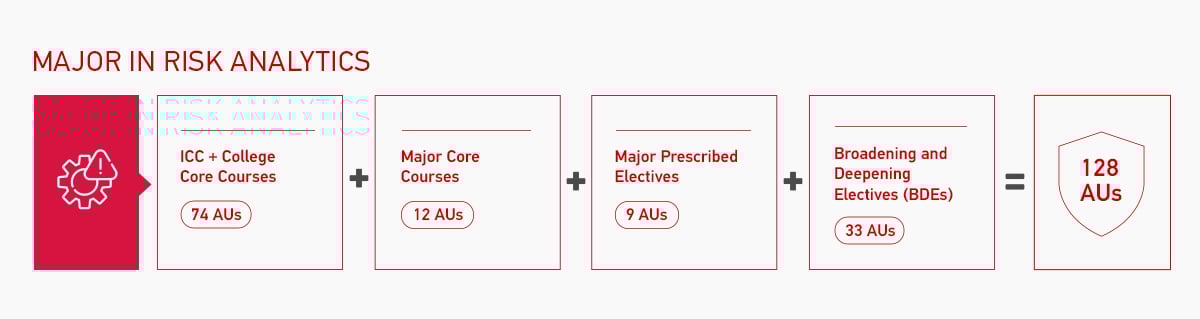 Major in Risk Analytics Overview