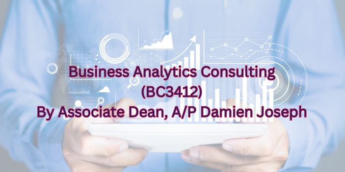 Business analytics consulting
