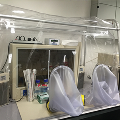 ​Anaerobic Chamber
