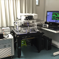 ​Confocal Microscope