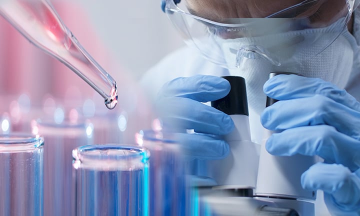 Biotechnology & Bioprocesses