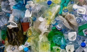 plastic pollution being one of the biggest environmental issues
