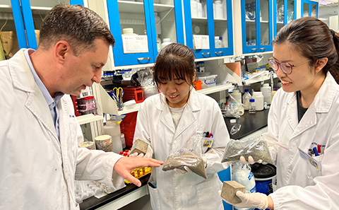 NEWRIEdu Research projects