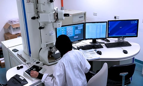 Analytics Cluster (TEM)