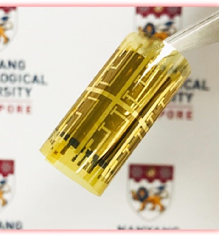 Flexible and Wearable Electronic Devices