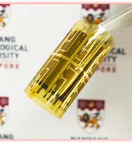 Flexible and Wearable Electronic Devices