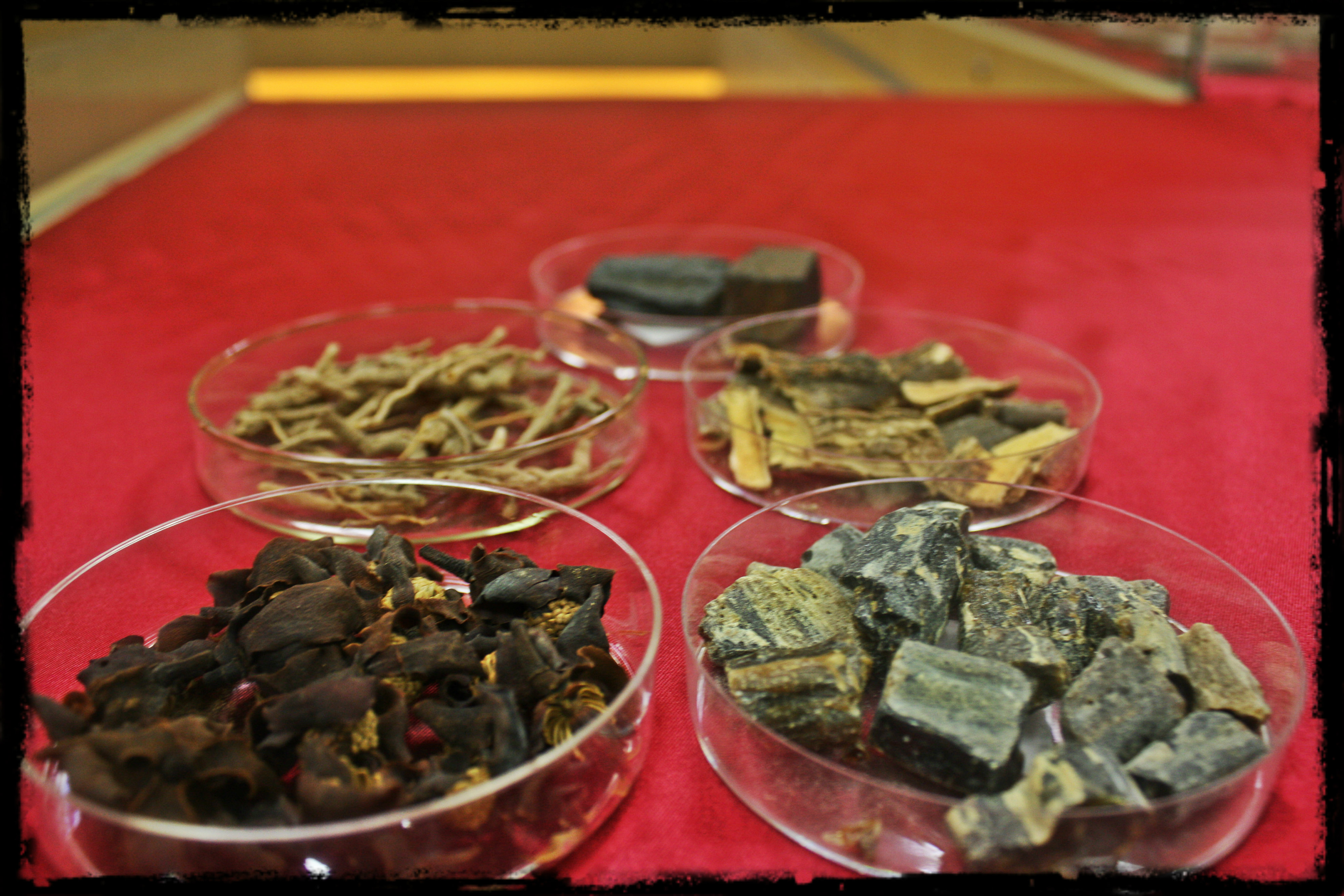 安神药 Tranquilizers