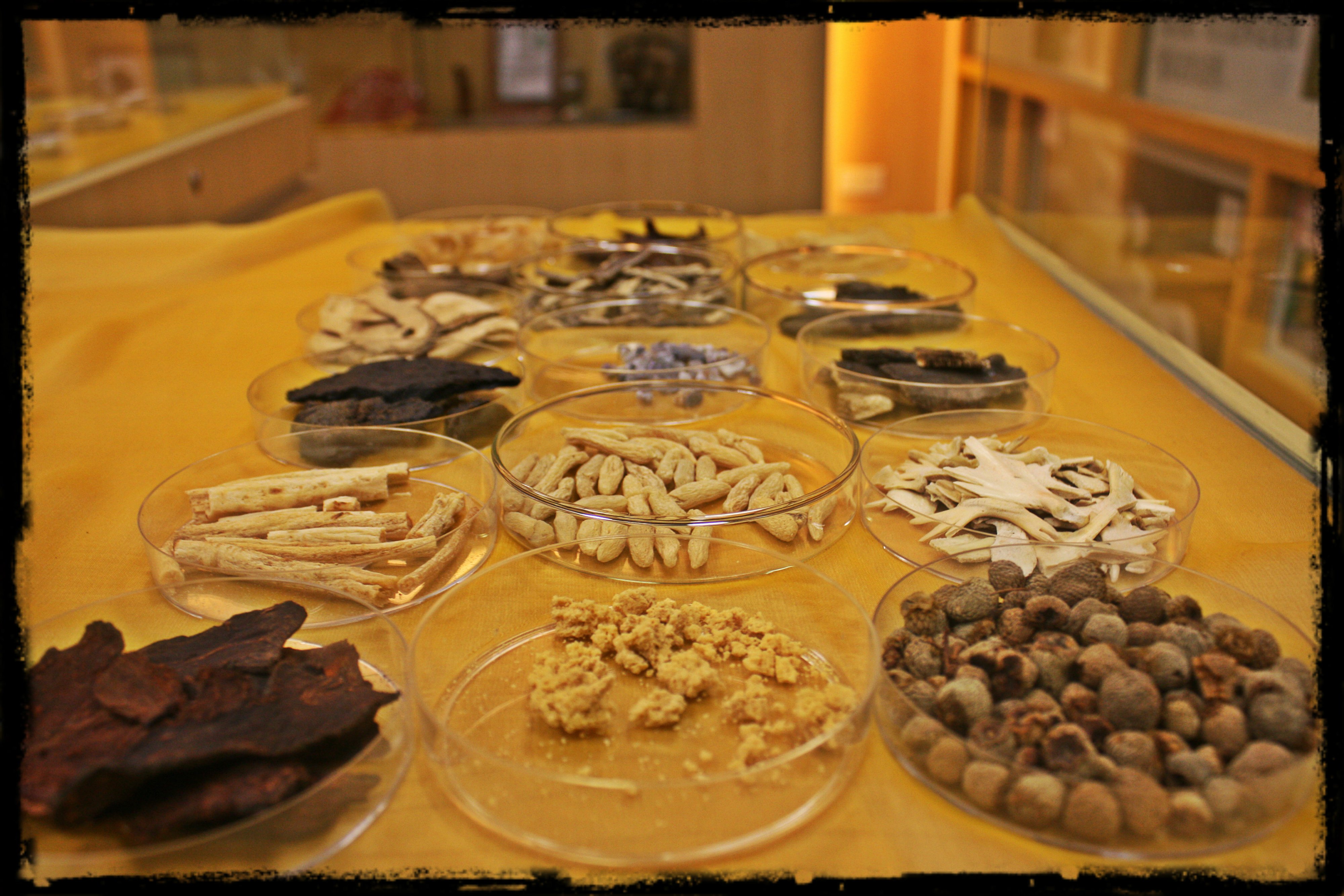 补虚药 Replenishing Herbs