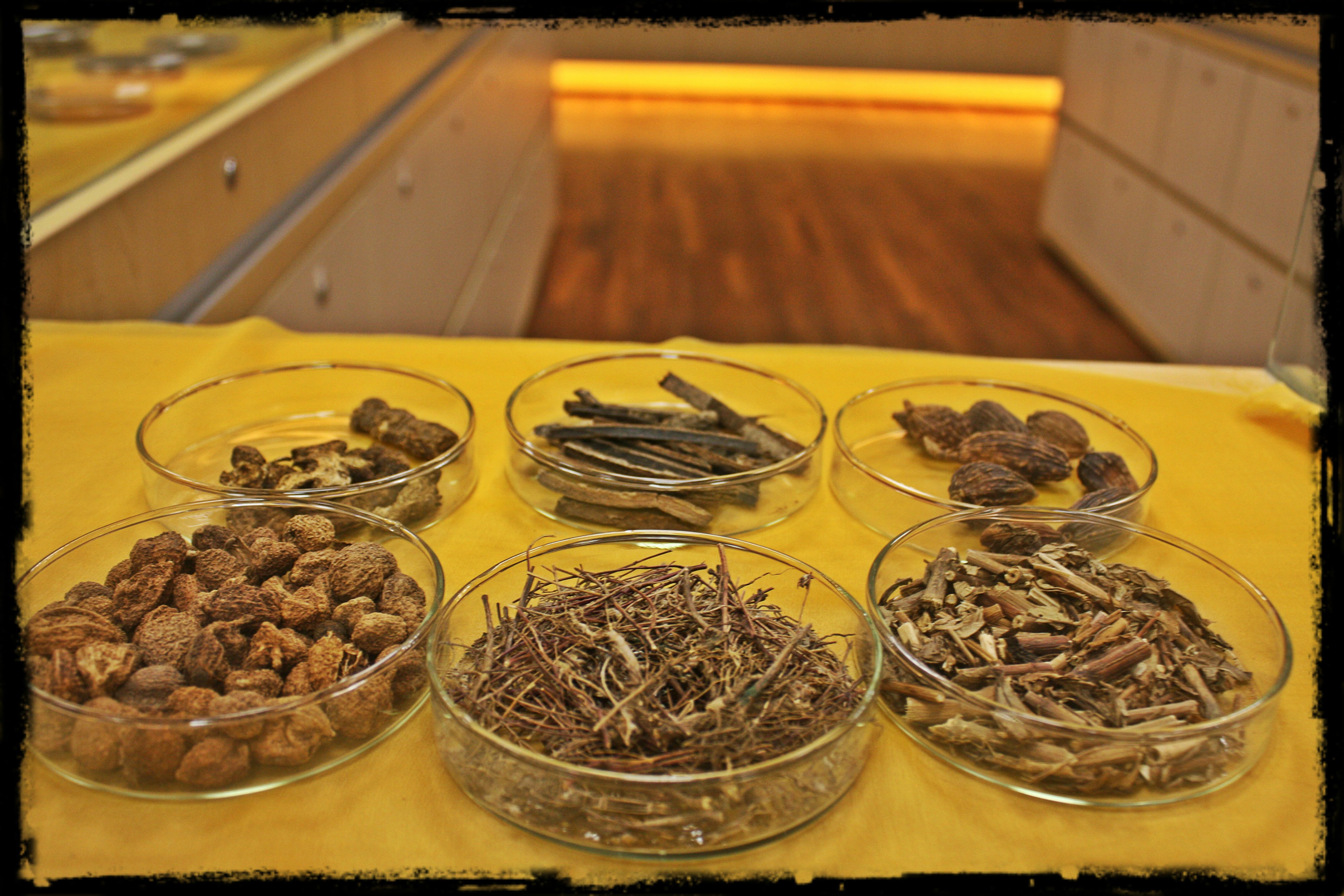 祛湿药 Dampness-resolving Herbs