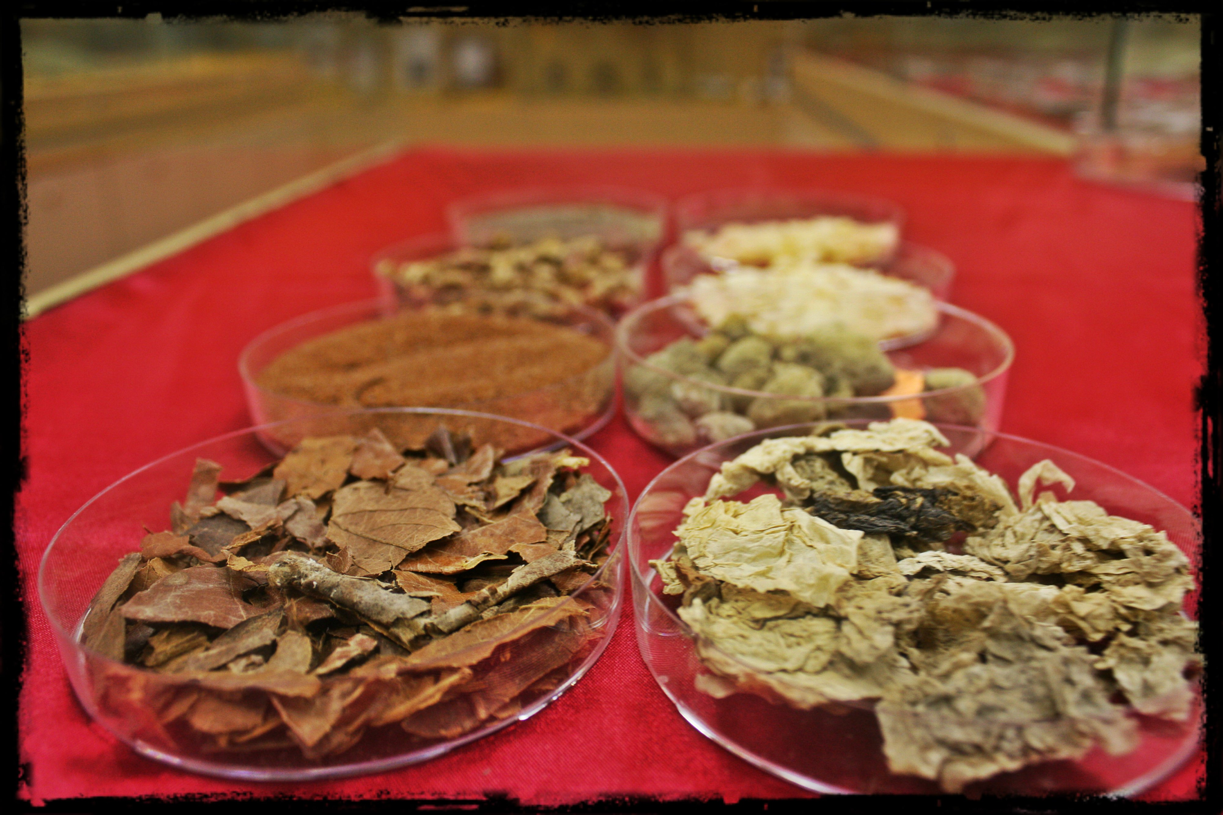 化痰止咳药 Phlegm-Resolving, Cough-Relieving Herbs