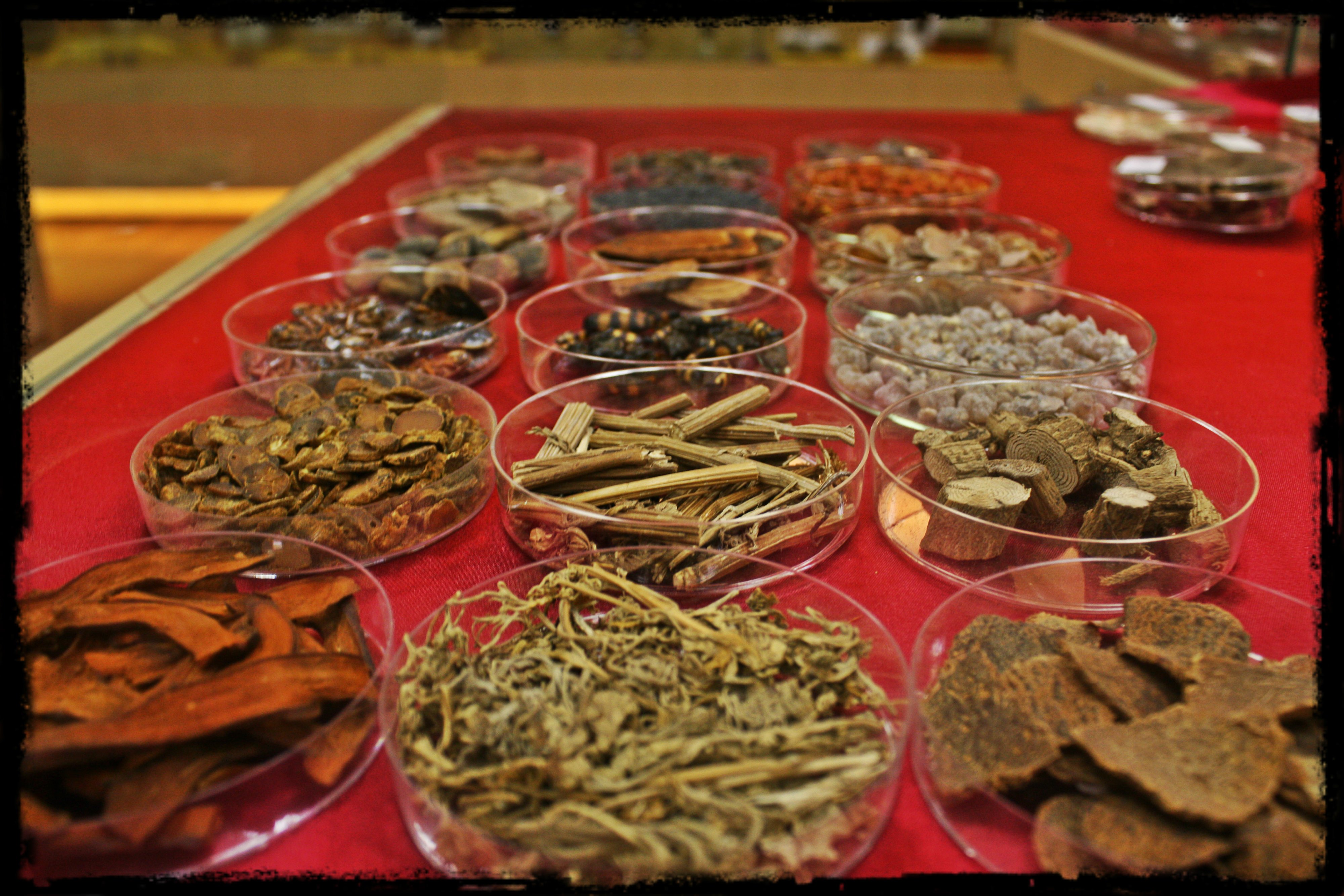 活血药 Blood Invigorating Herbs