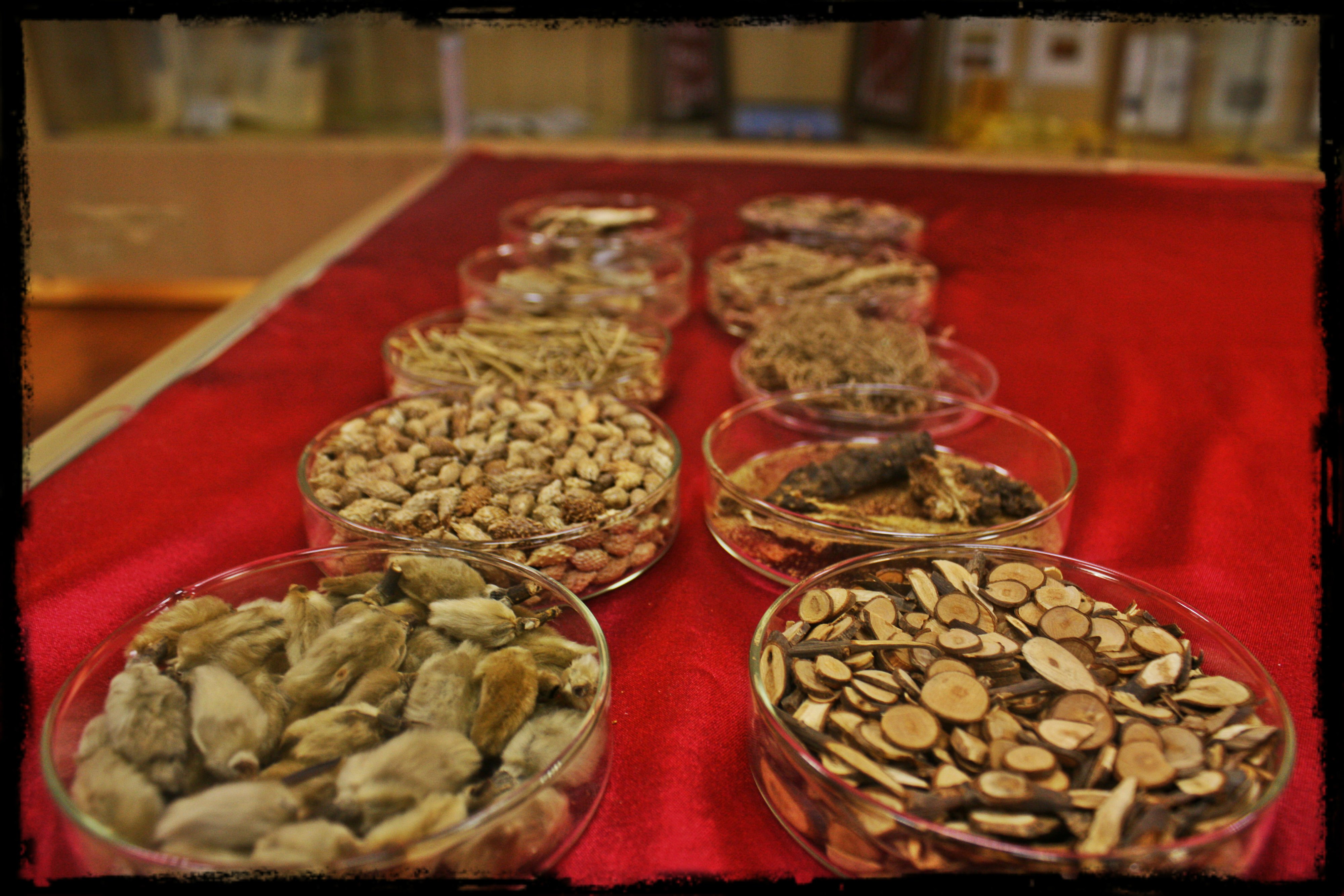 解表药 Exterior Syndrome Relieving Herbs