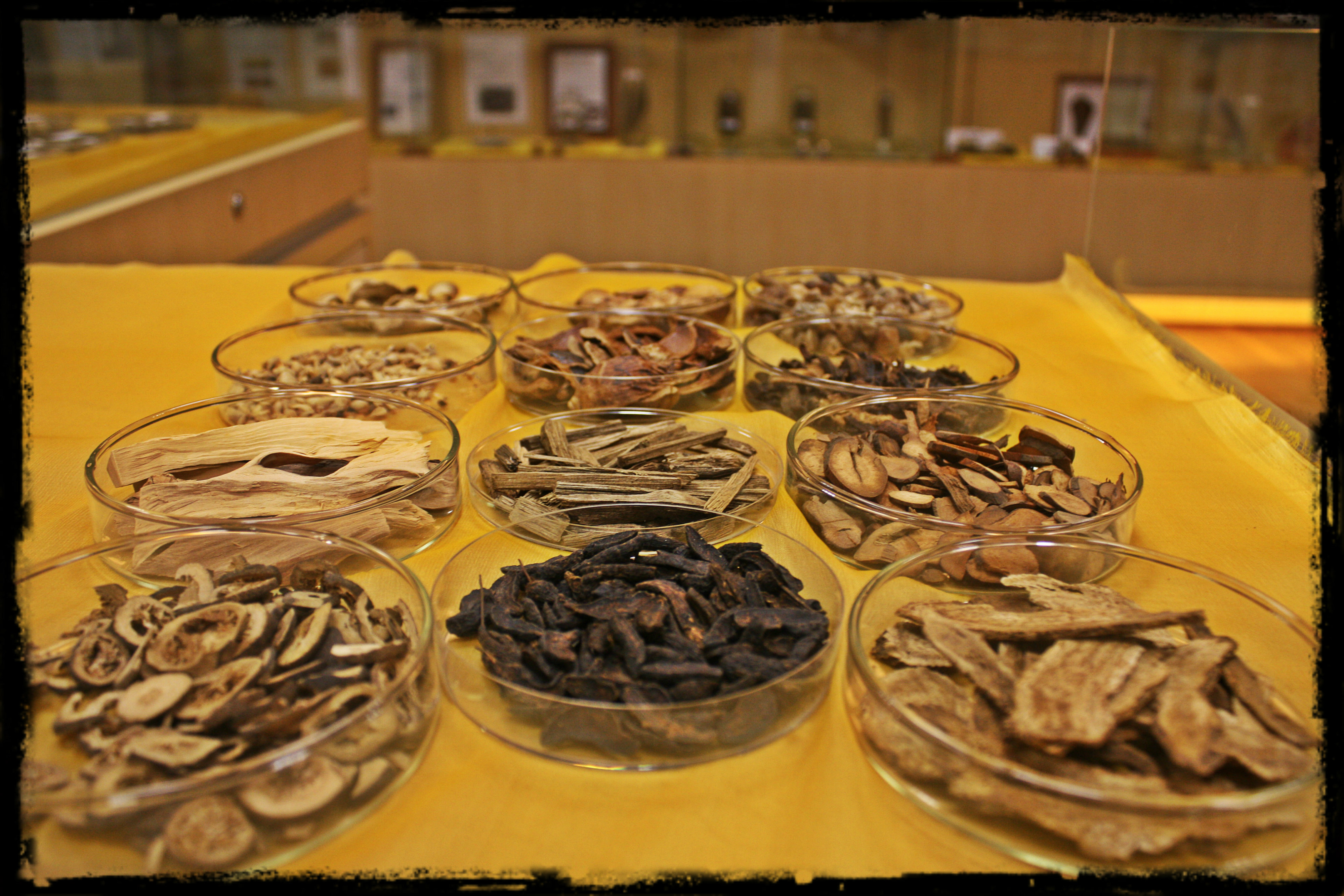 理气药 Qi-regulating Herbs