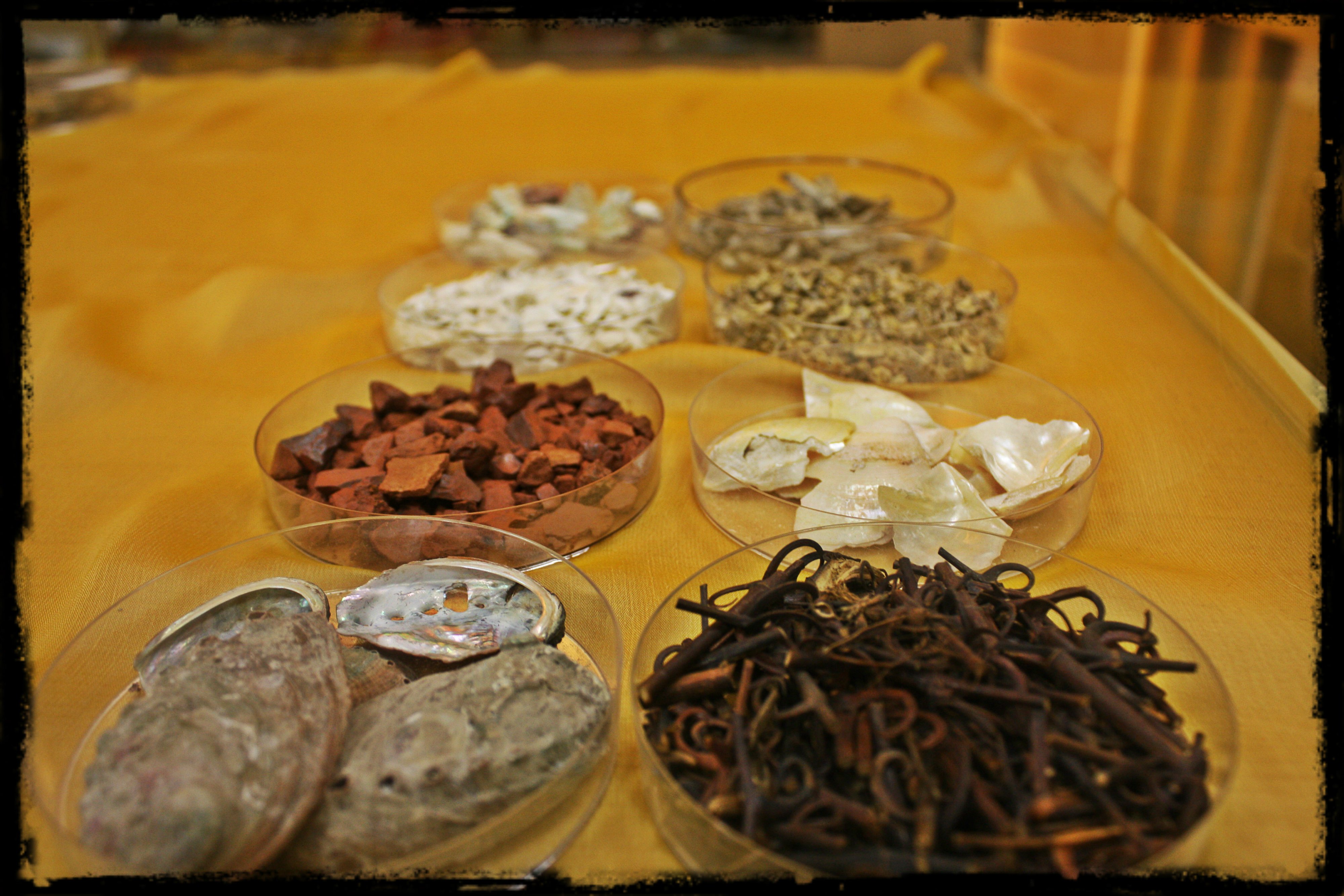 平肝熄风药 Herbs for for calming the liver to stop endogenous wind