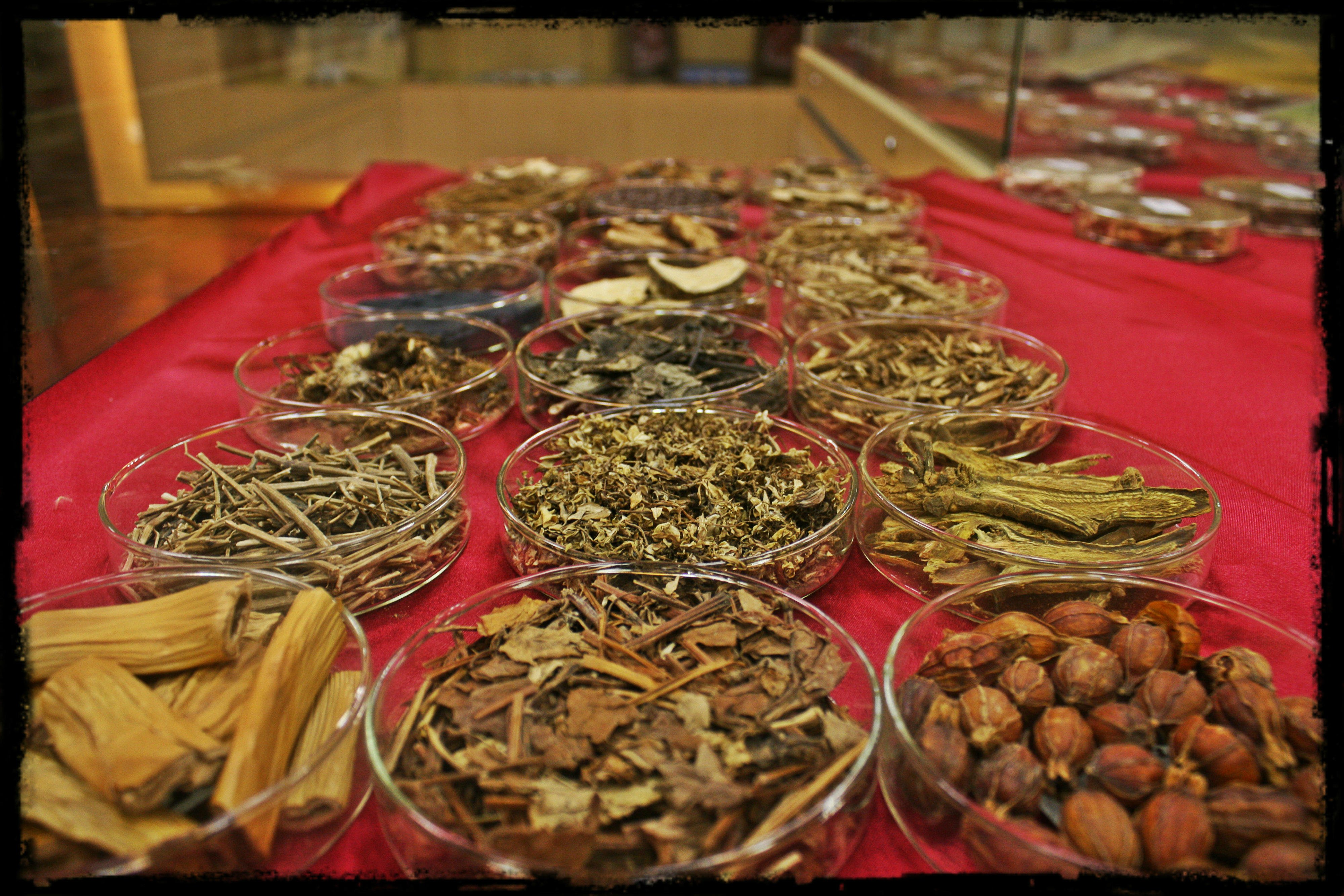 清热药 Heat Clearing Herbs