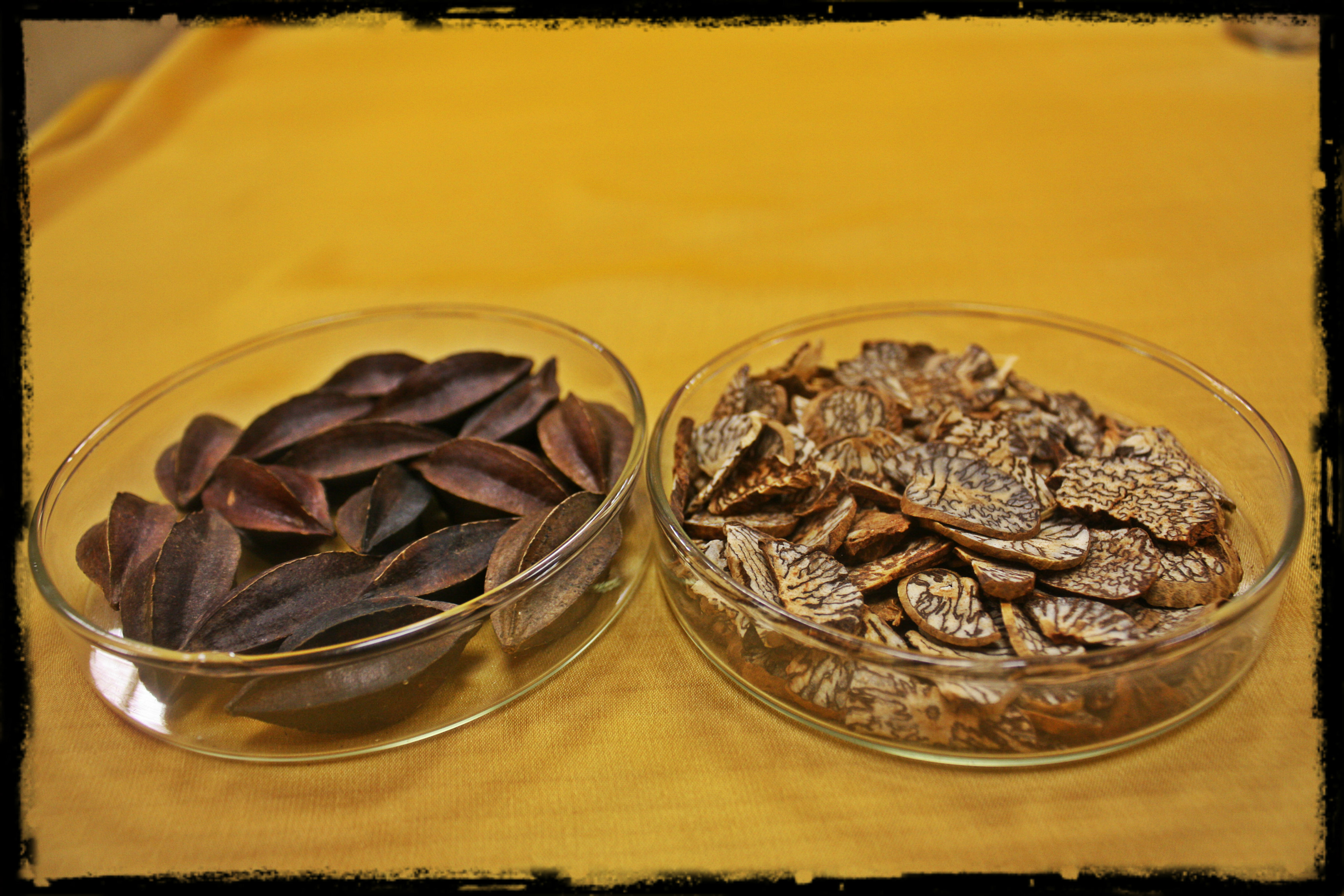 驱虫药 Parasite-dispelling Herbs