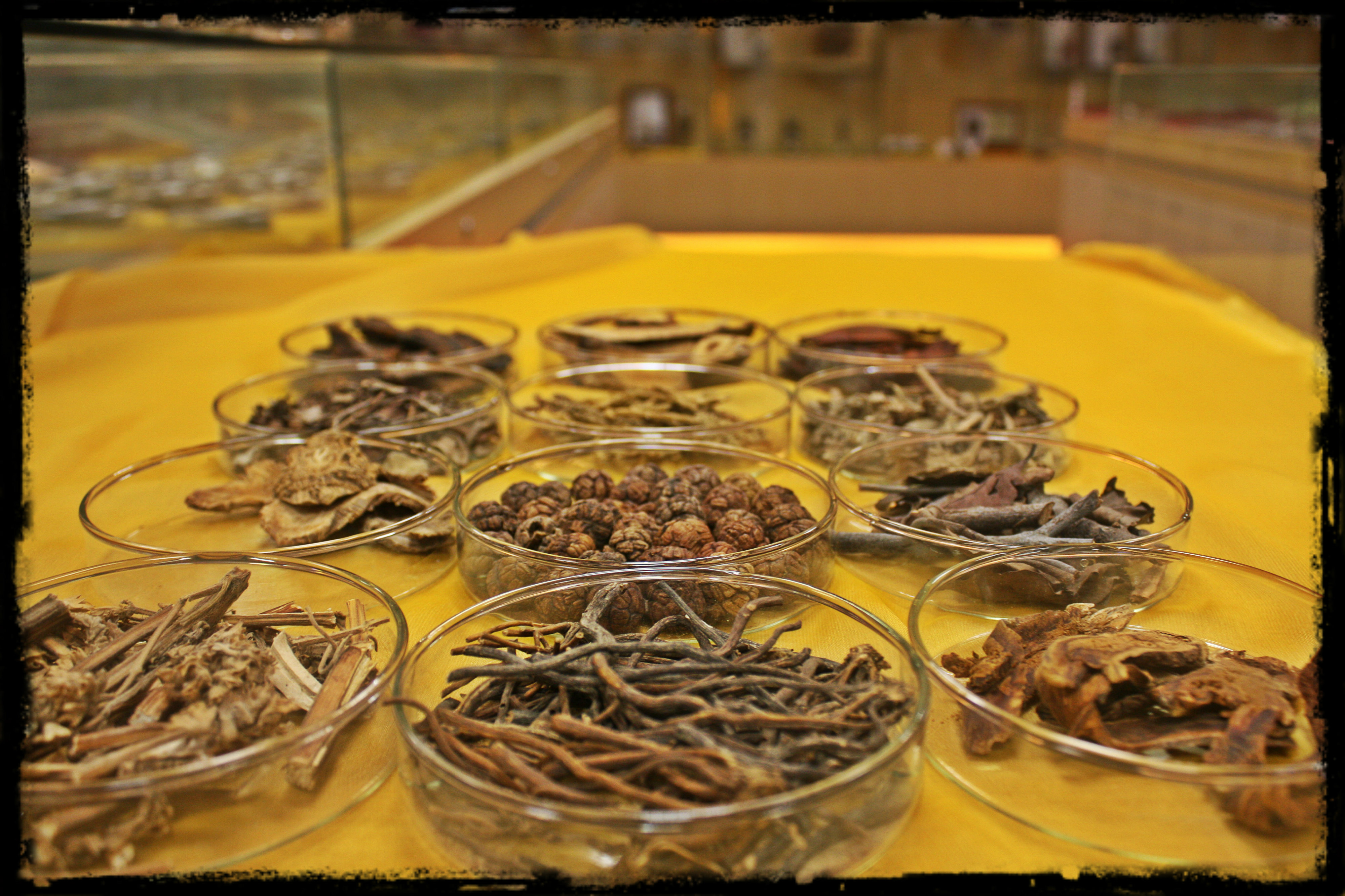 祛风湿药 Anti-rheumatic Herbs