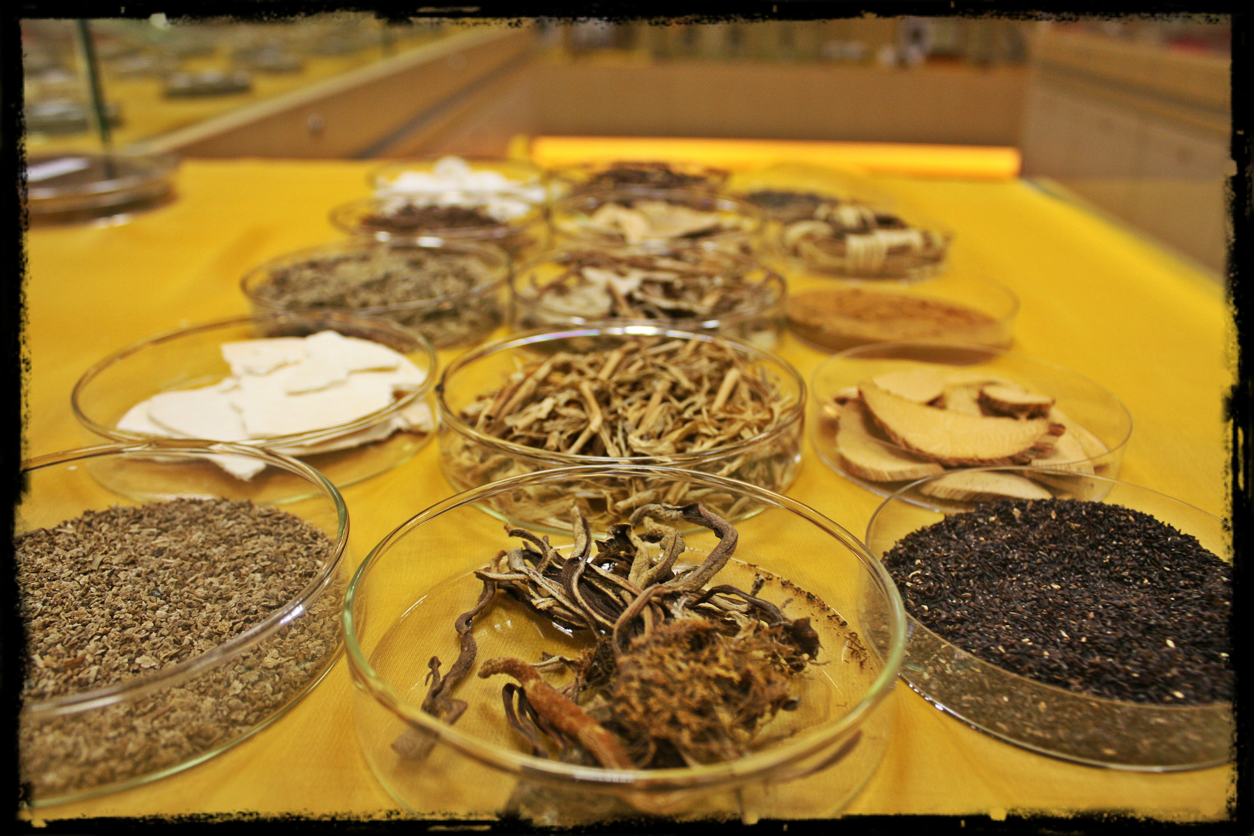 渗水利湿药 Herbs for promoting diuresis and resolving dampness